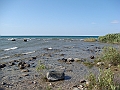 Western Michigan [2010] 779